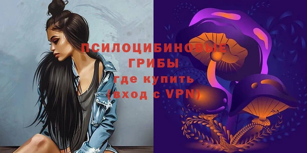 твердый Арсеньев
