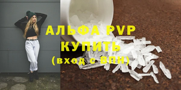 твердый Арсеньев