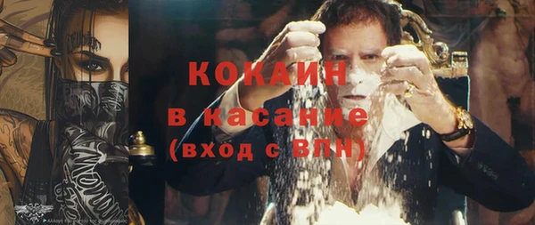 твердый Арсеньев