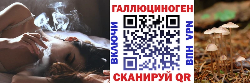 Галлюциногенные грибы Psilocybine cubensis  Хвалынск 
